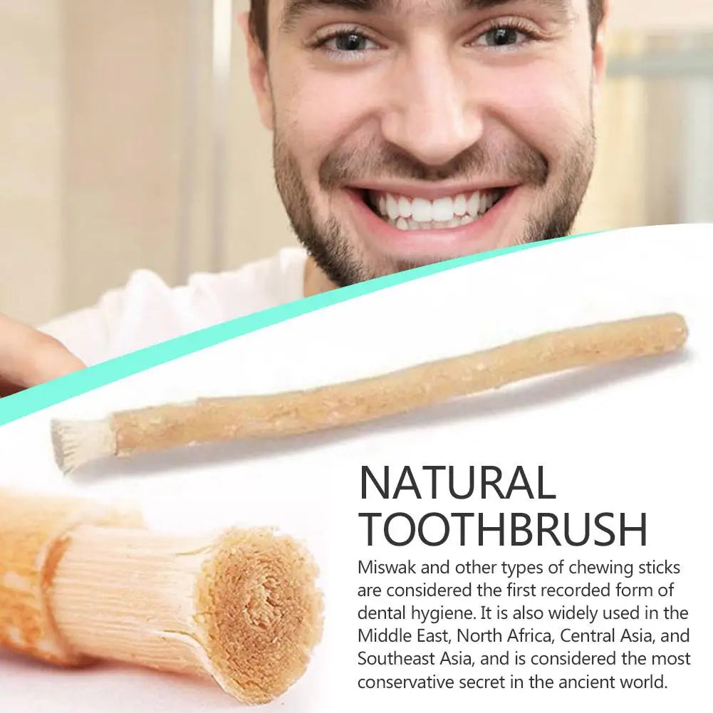 1pc Portable Miswak Siwak Natural Toothbrush Misvak Whitener Manual Teeth Travel Miswaak Traditional Toothbrush Arak T1V7 Qme