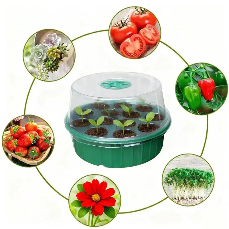 Clear Lid Seedlings DIY Accessories ABS Hydroponic Germination Tray Qme