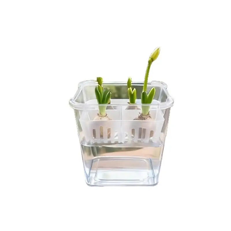 Breathable Support Basket Tulip Seed Hydroponic Flowerpot 4 Holes Qme