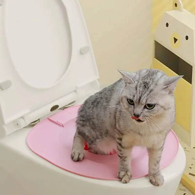 Cat Sandbox Toilet Seat Training Tool System Teach Use Reusable Qme