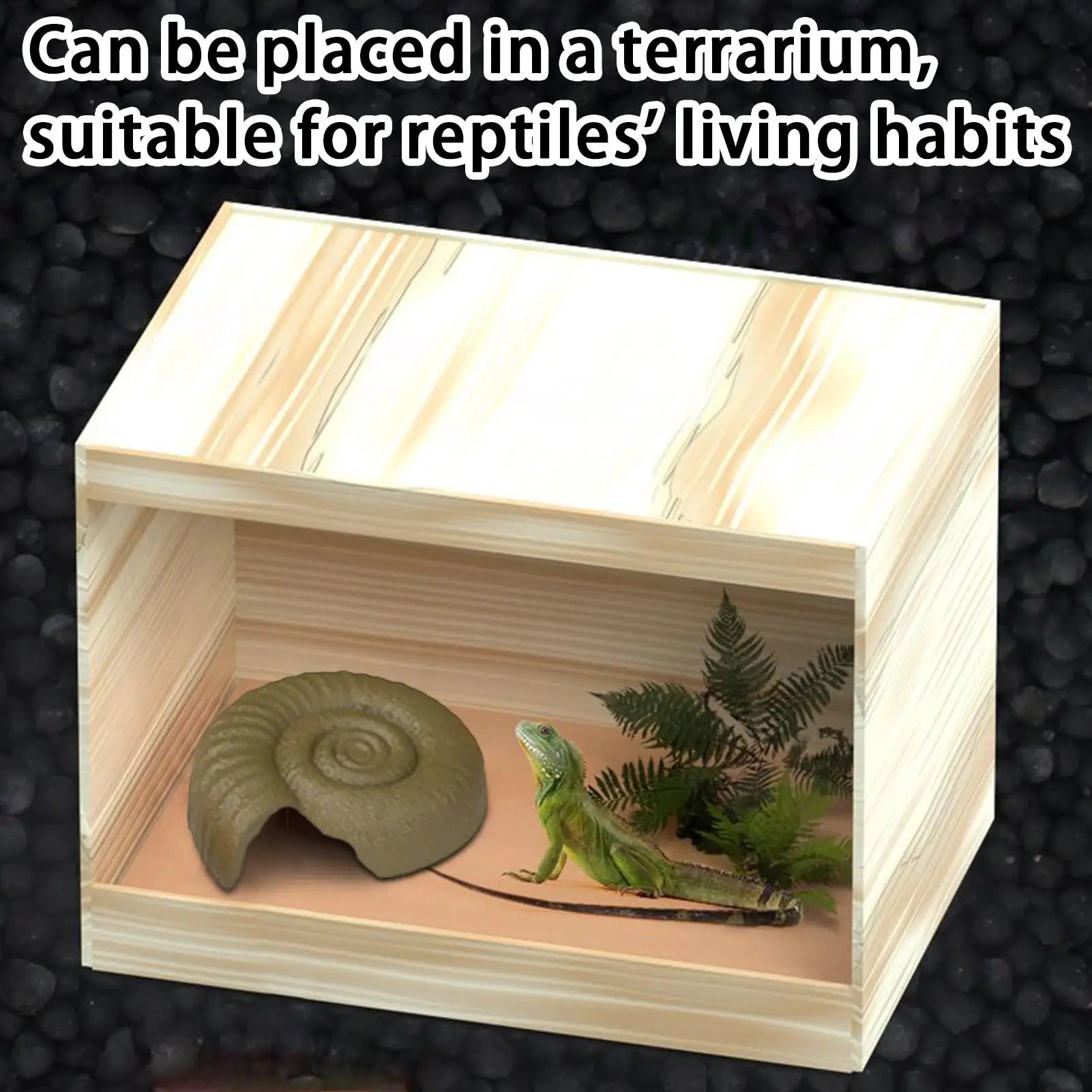 Snake Hide Out Ammonite Shape Cage Shelter Nest Decorative Habitat Qme