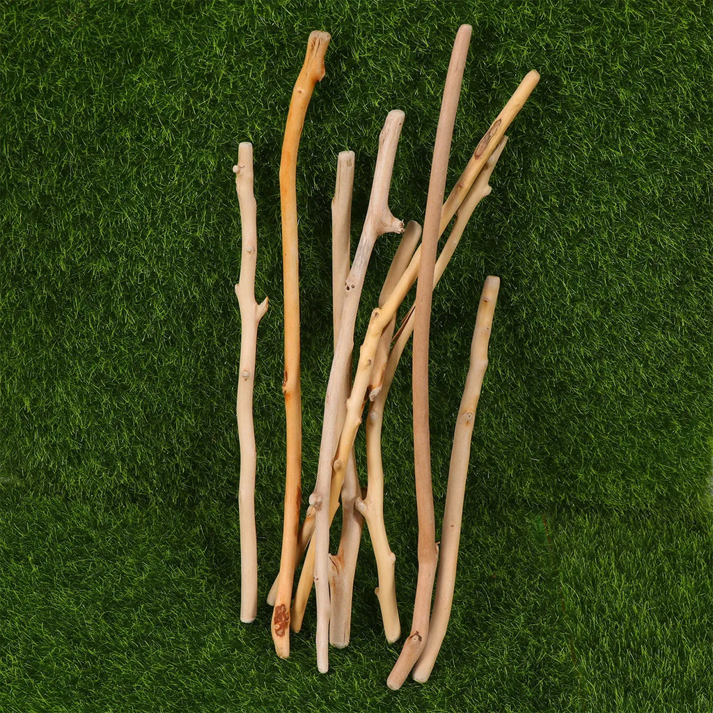 1Set Unique Natural Driftwood Fish Tank Ornament Real Wood Aquarium Decoration Biofilm Support PH Stabilizer Moss Anchor Dwarf Qme