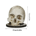 Kitchen Rack For Knives Countertop Skull Head Shaped Kitchen Tools Storage Scary Decoration Home Organization For Fireplaces Qme A