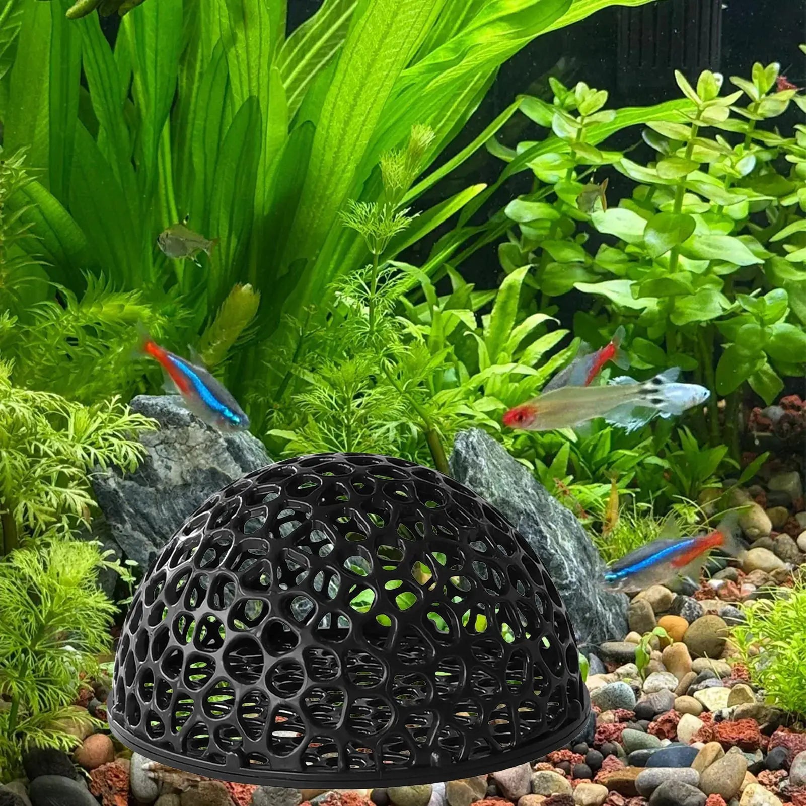 Aquarium Shrimp Hide Shrimp Aquarium Breeding Hide Cave Hiding Tools Hollow Ornamental Fish Resting Place Underwater Saltwater Qme