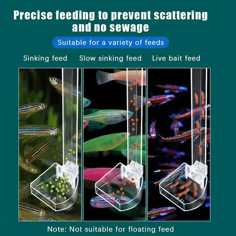 Cleaning Brush Measuring Spoon Shrimp Aquarium Fish Feeding Dish Qme