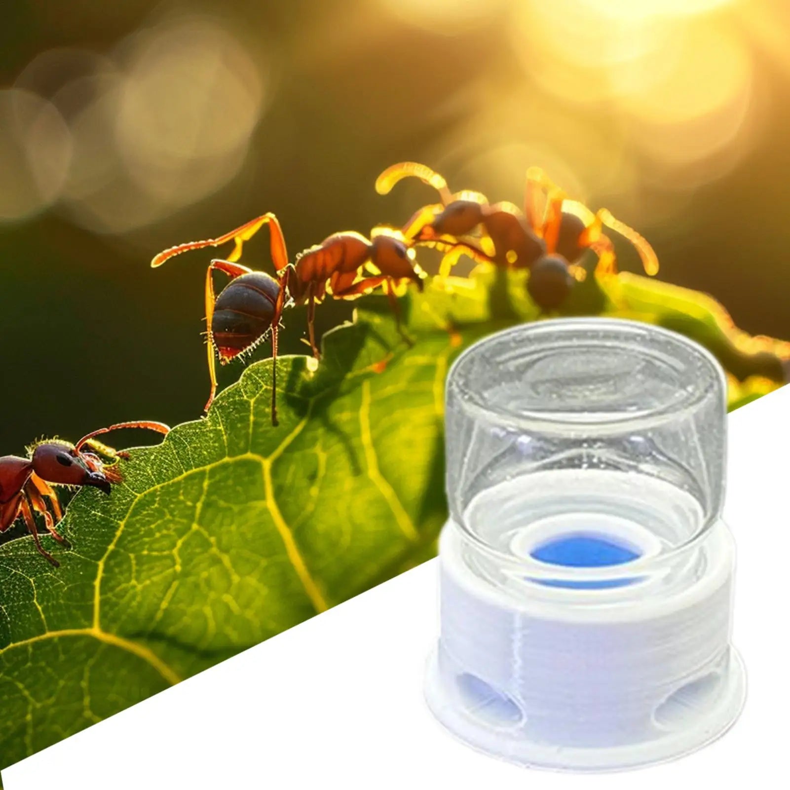 Ant Liquid Feeder Anti-Drowning Transparent Leakproof Bee Water Station for Home Classroom Farm Outdoors Qme