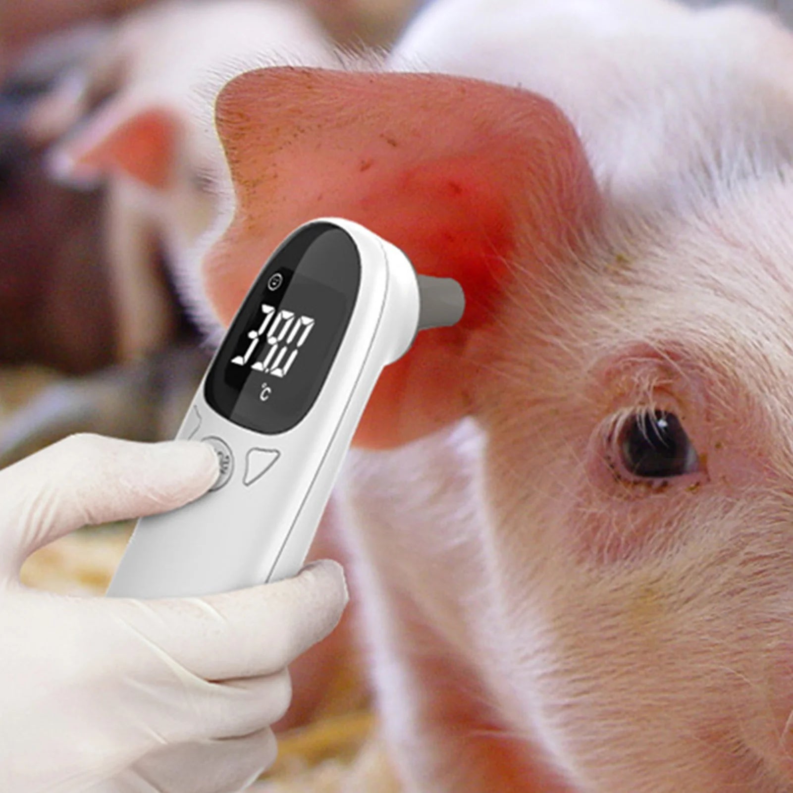 Cat Thermometers Ear cat Dog Tech Supplies Puppy Thermometers Fever Detection Device For Pet High-Precision Accurate Led Display Qme