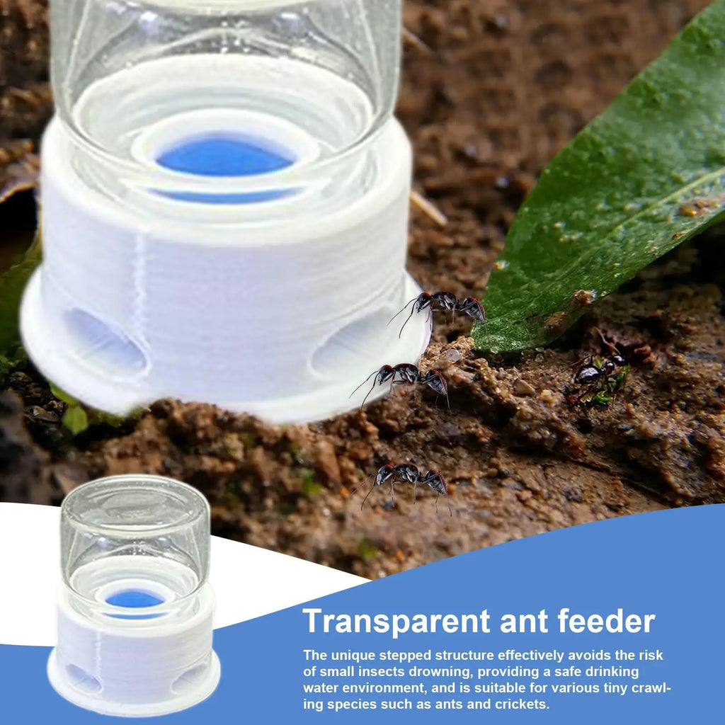 Ant Liquid Feeder Anti-Drowning Transparent Leakproof Bee Water Station for Home Classroom Farm Outdoors Qme