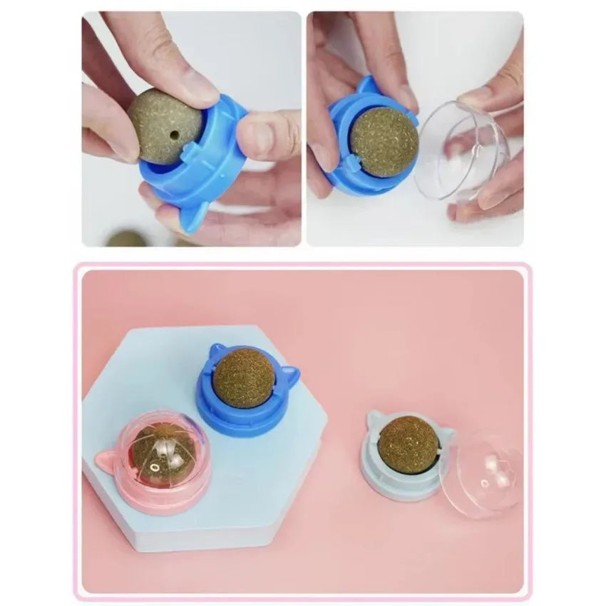Rotating Catnip Ball Cat Shaped Pet Grinding Toy Interactive Licking Cats Scratch Ready To Eat Toy Ball Pet Supplies Wholesale Qme