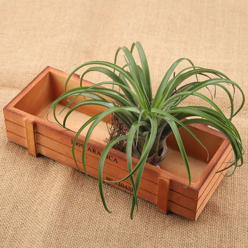 Vintage Wood Flower Planter Box Rectangle Succulent Pot Desktop Storage Tray Rustic Wooden Plant Holder Home Decor Qme