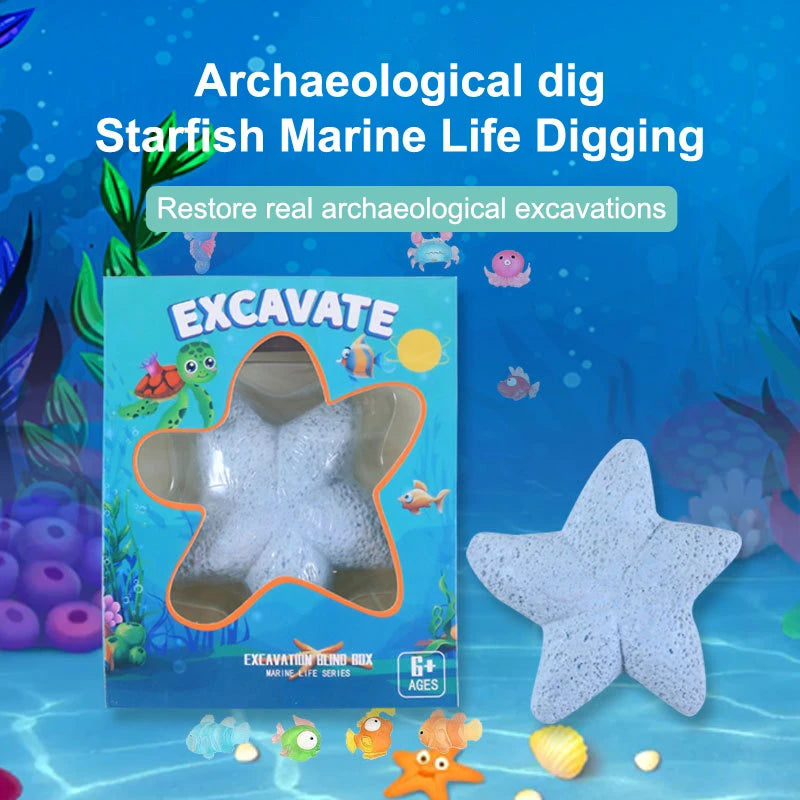 Starfish Marine Life Gemstone Dig Archaeological Excavation Toy Qme