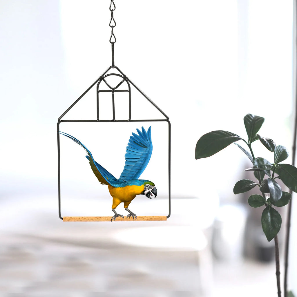 3Sets Metal Bird Perch Stand Portable Parrot Training Rack for Indoor Outdoor Use Chewing Resting Play Hanging Bird Playground Qme