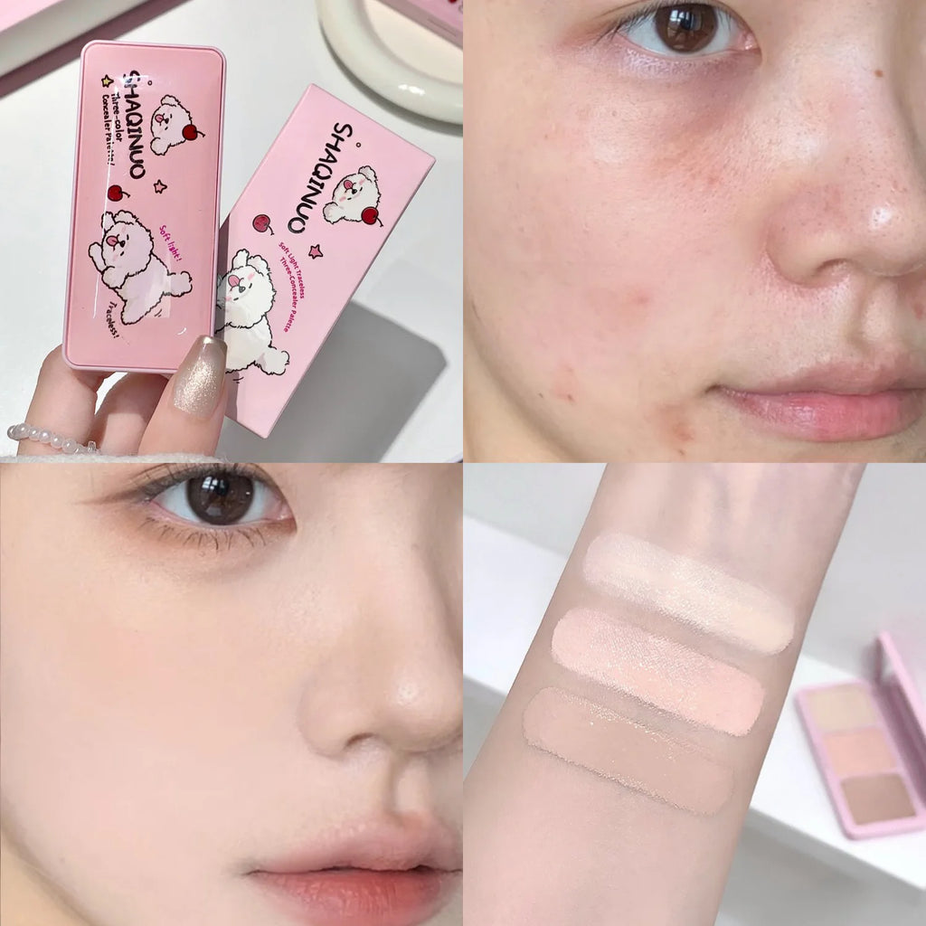 SHAQINUO 3-Color Salmon Concealer Palette Waterproof Long Lasting Qme S9102