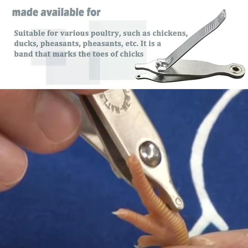 Chicken Toe Punch Permanent Identification Tool Chicks Ducklings Mice Qme