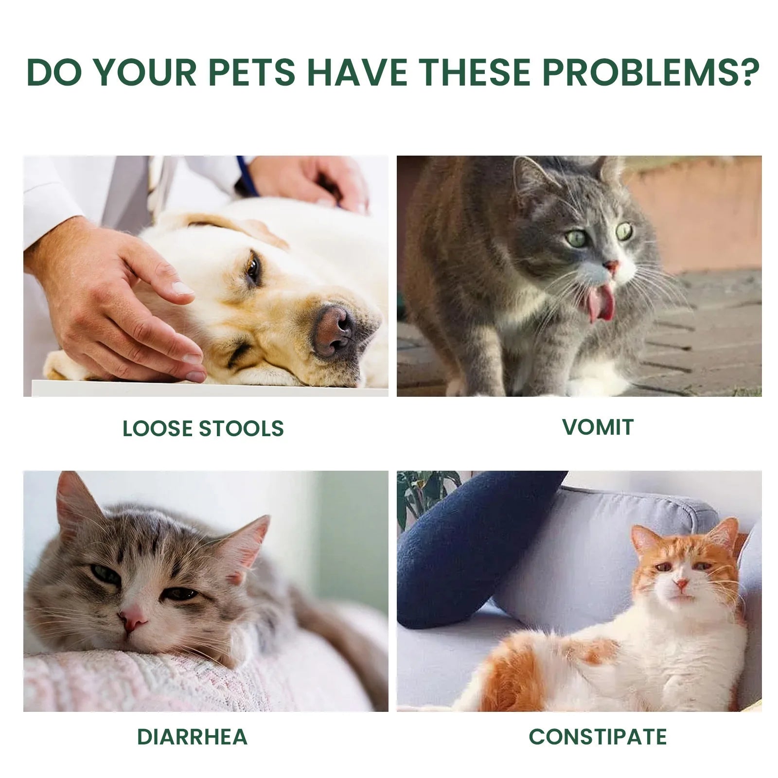 Pet Health Supplements Multi Vitamin Enhance Physical Fitness Protect Dogs Cats Stomach Oral Care Bad Breath Removal Pet Drops Qme