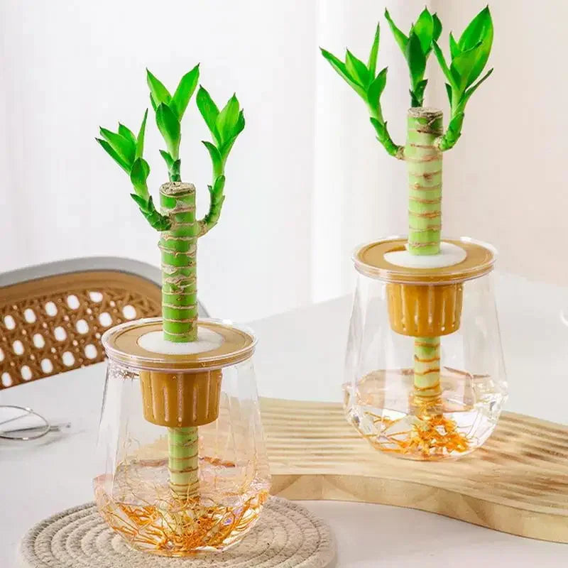 Mini Self Watering Flower Pot Fish Tank Transparent Plastic Plant Pots Self Watering Planter Pot Vase For Home Decoration Qme