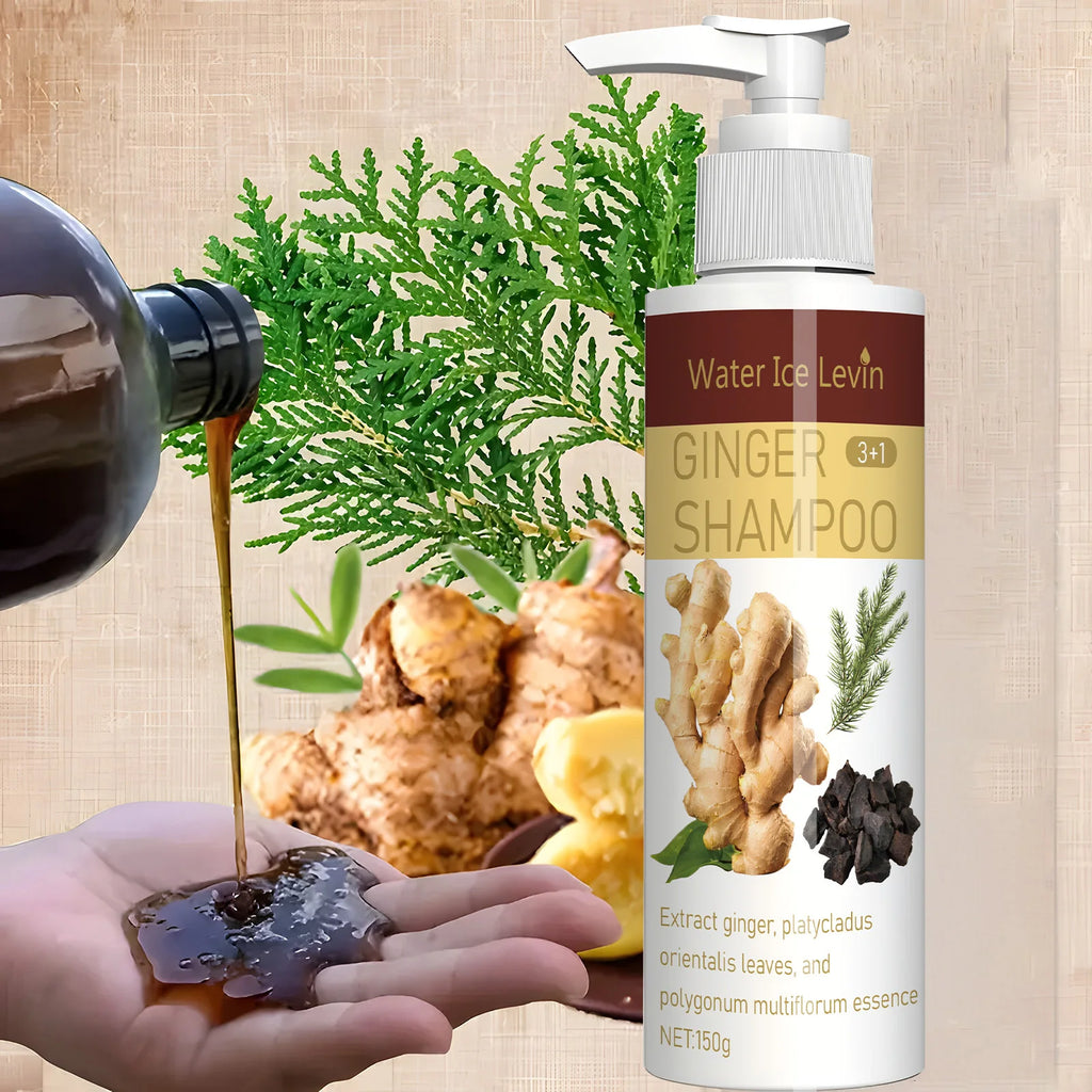 Ginger Regrowth Shampoo Anti Hair Loss Oil Control Dandruff Removal Moisturiz Nourish Scalp Repair Damaged Hair Growth Shampoo Qme