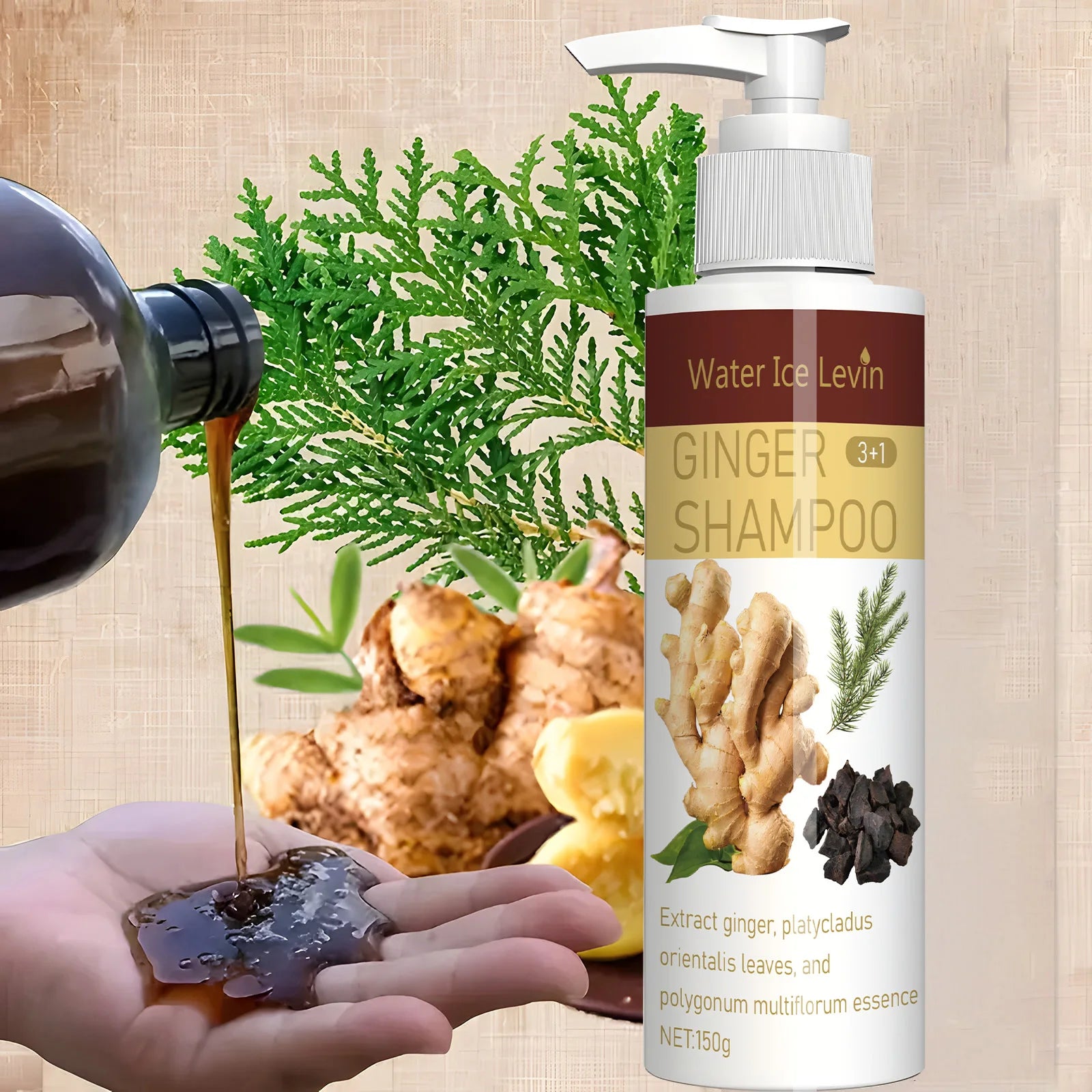 Ginger Regrowth Shampoo Anti Hair Loss Oil Control Dandruff Removal Moisturiz Nourish Scalp Repair Damaged Hair Growth Shampoo Qme