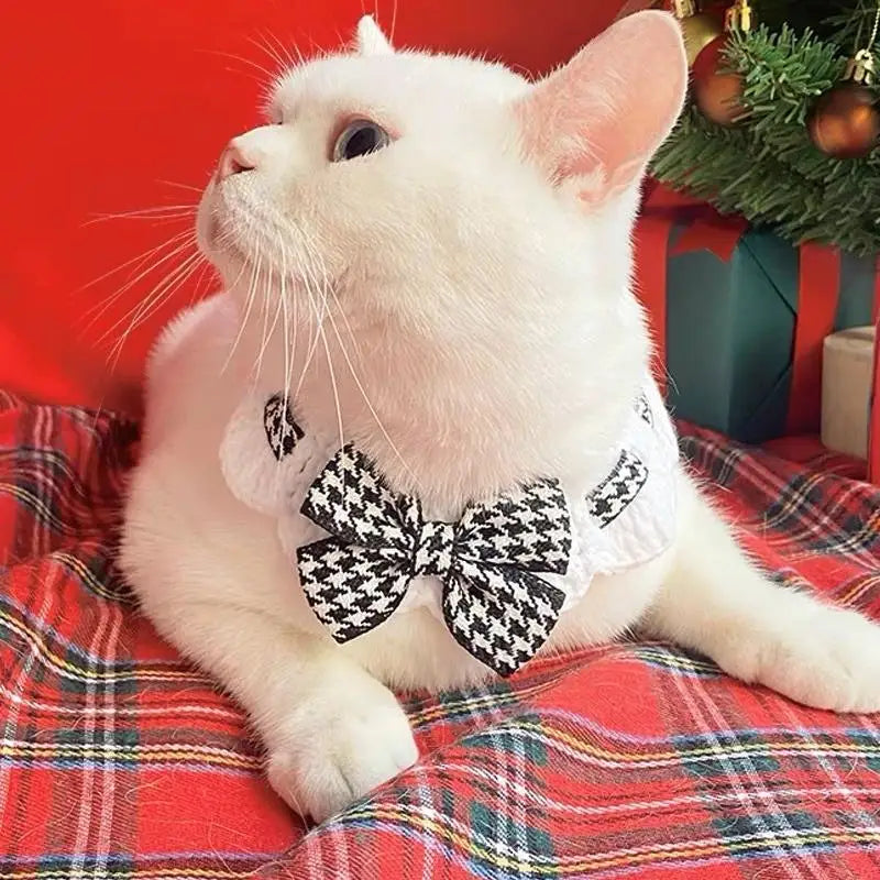 Small Dogs Puppies Tie Accessories Cute Cat Collar Wool Crocheted Qme