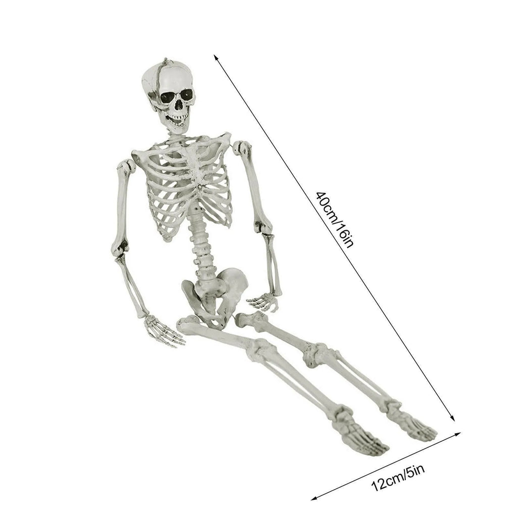 Halloween Skeleton Decors Full Body Faux Human Skeleton Decoration Props Festival Decorations White Skull Frame Qme