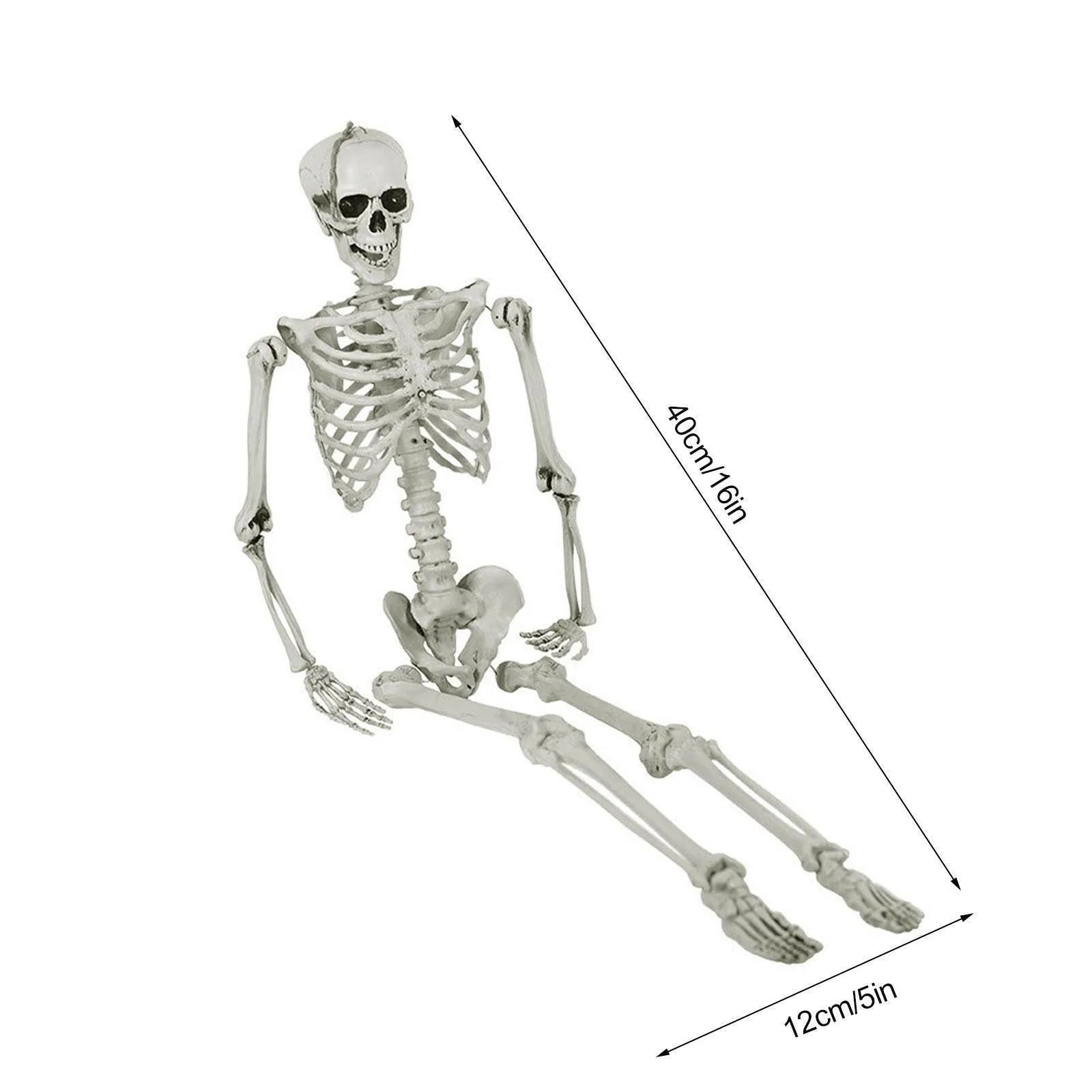 Halloween Skeleton Decors Full Body Faux Human Skeleton Decoration Props Festival Decorations White Skull Frame Qme