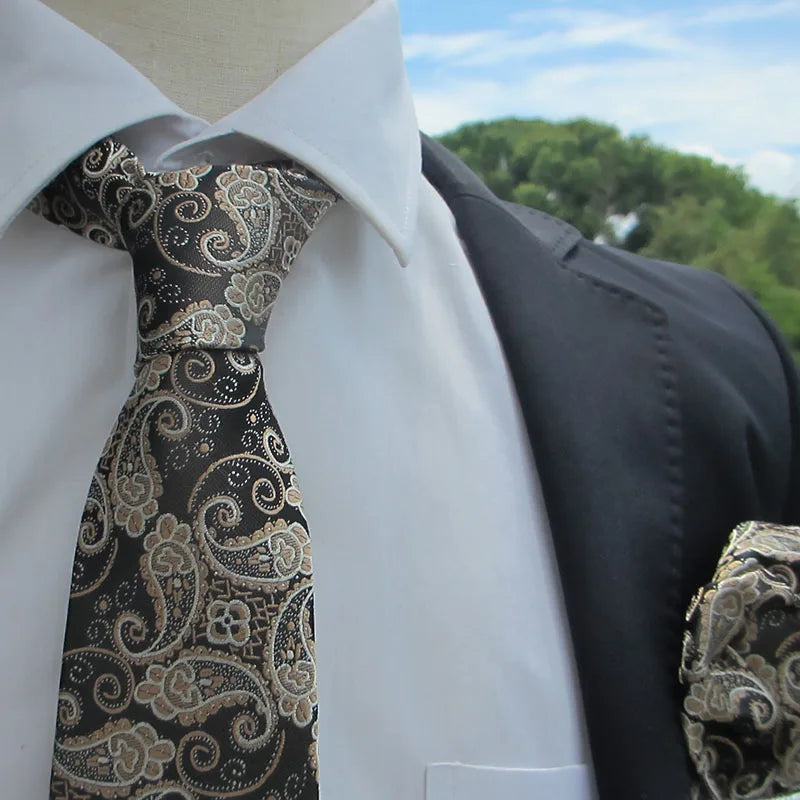 Fashion Men's Classic Paisley Ties Hanky Wedding Business Neckties Qme rt-2