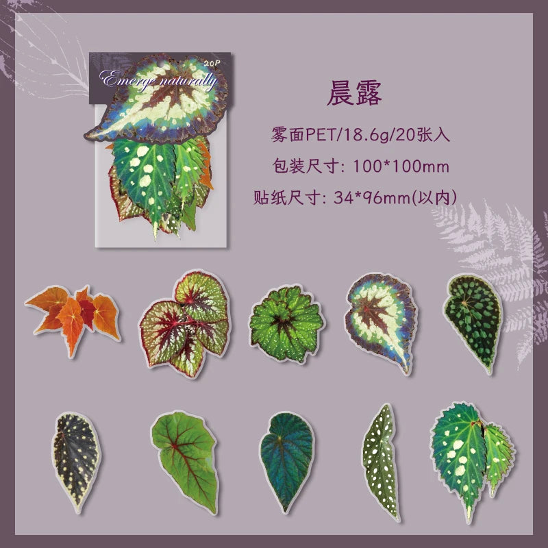 20 pcs Plants Flowers Leaf PET Sticker pack Hand Account Collage Junk Journal Planner Scrapbooking Decor Stationery Stickers Qme B