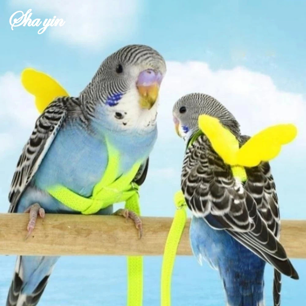 Random Adjustable Parrot Bird Harness Leash Set Anti-bite Training Harness Parrots Outdoor Flying Rope Cockatiel Bird Supplies Qme