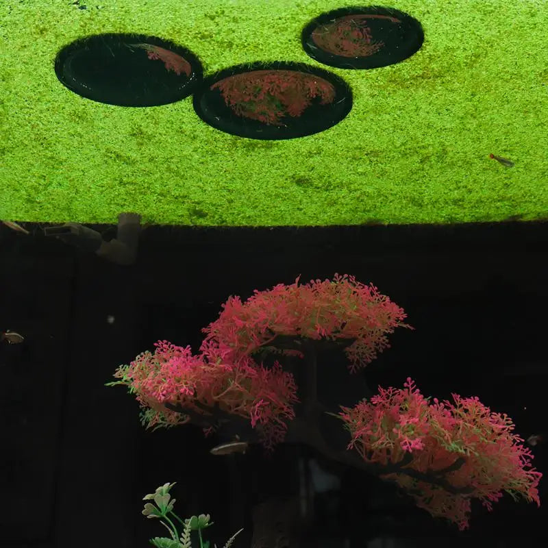 Fish Tank Landscape Decor Interception Floating Duckweed Tool Qme