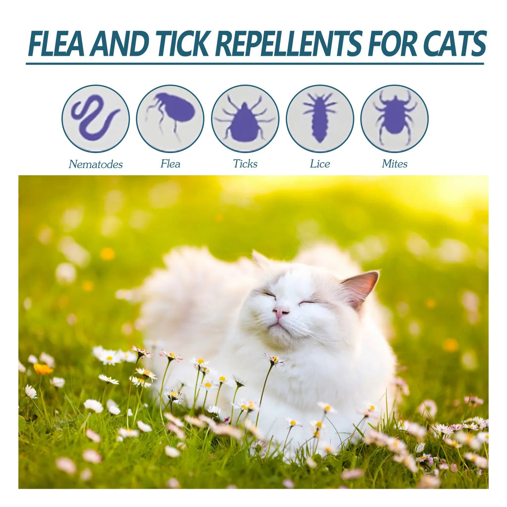 Pet Flea Killer Drops Anti Fleas Cats Ticks Lice Mite Removal Relieve Itching Dogs Ringworm Treatment Pet Insect Removal Drops Qme