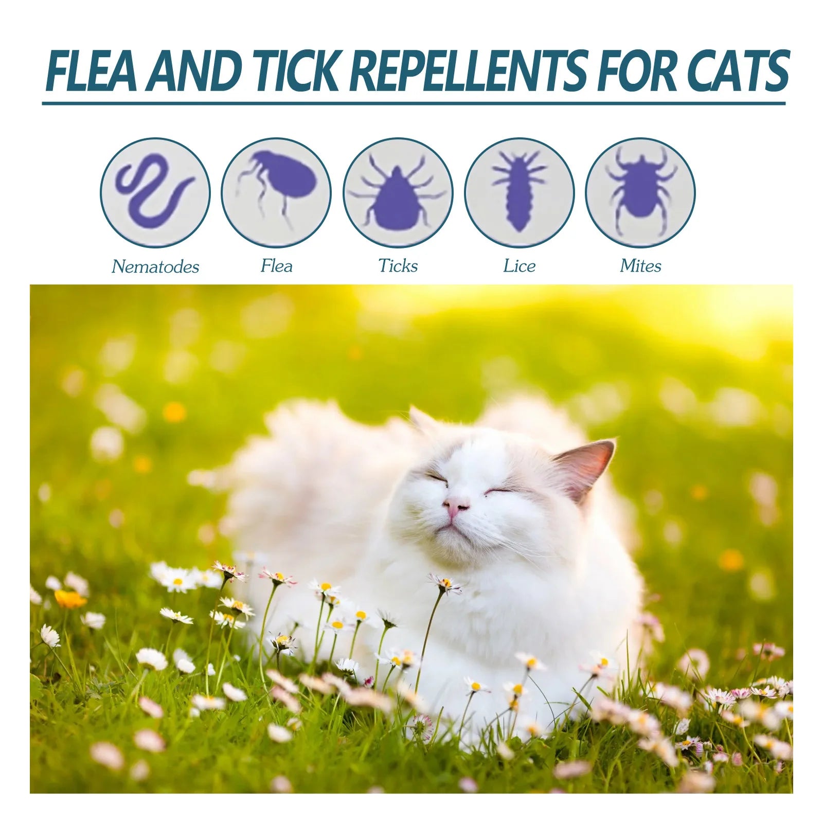 Pet Flea Killer Drops Anti Fleas Cats Ticks Lice Mite Removal Relieve Itching Dogs Ringworm Treatment Pet Insect Removal Drops Qme