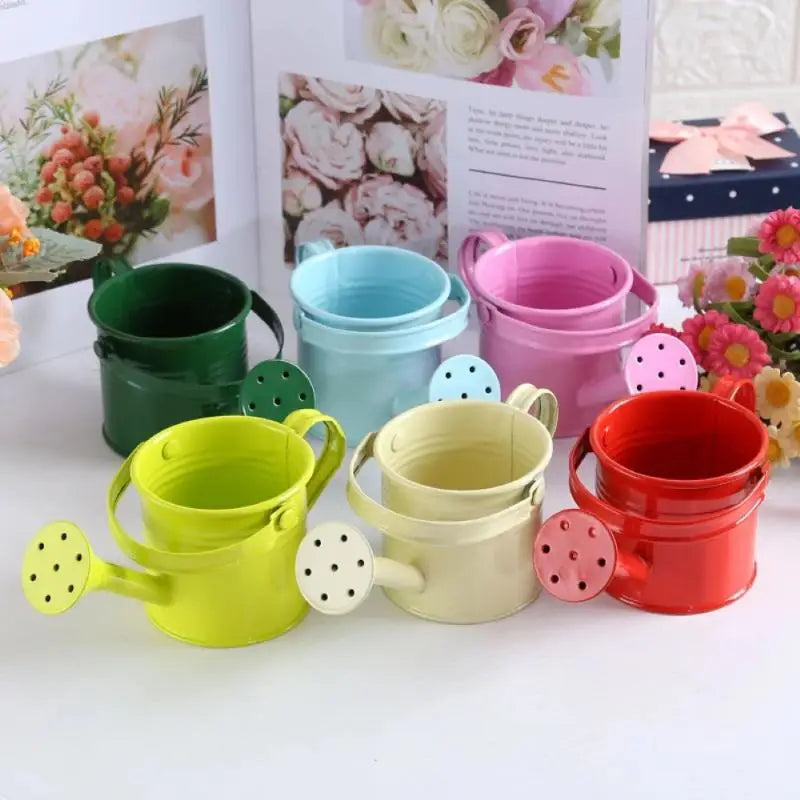 Mini Metal Watering Can Portable Lightweight Water Kettle Outdoor Qme