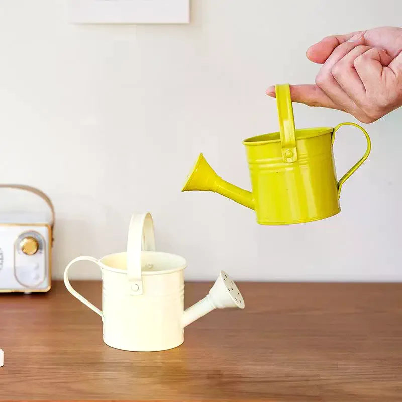 New Metal Watering Can Garden Flower Kettle Mini Small Water Spraying Pot Large Capacity For Kids Adult Qme