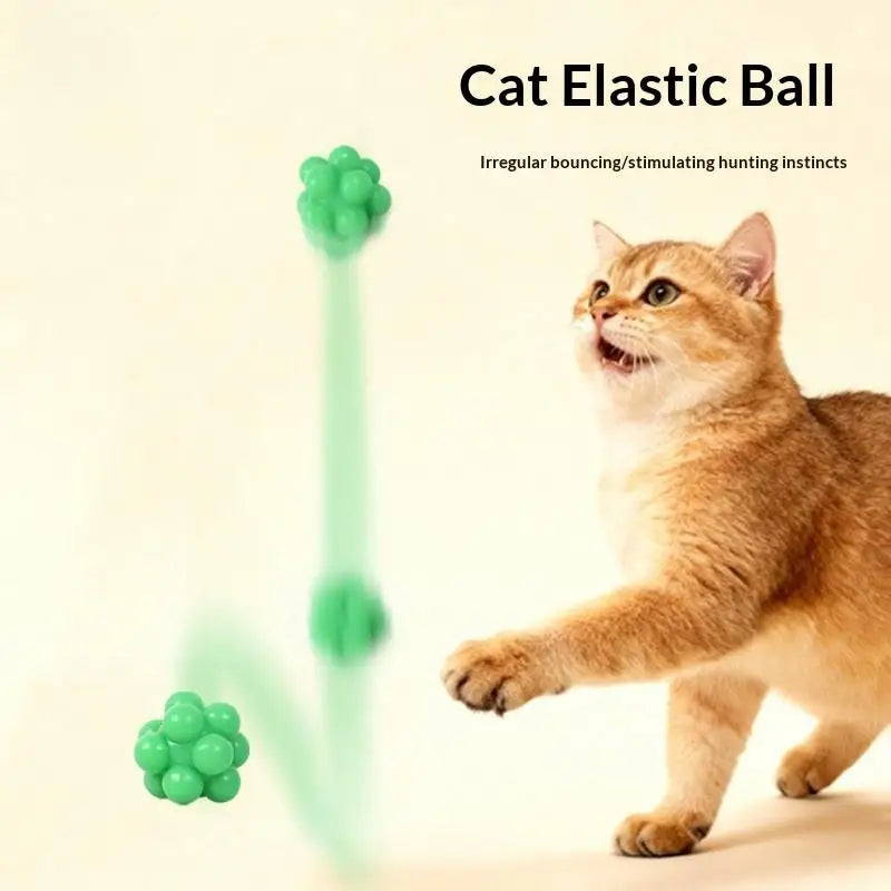 Playing Training Teeth Cleaning Cat Toy Chew Bouncy Ball Elasticity Qme