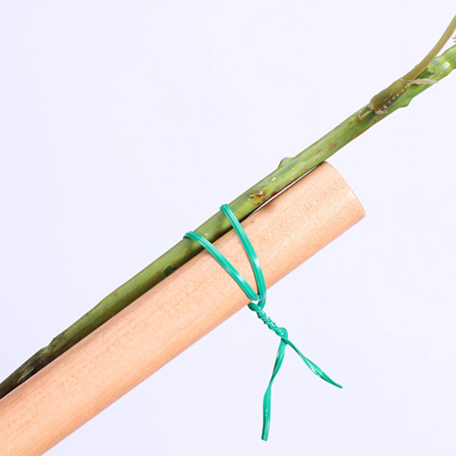 Durable Green Cable Ties with Cutter Reusable Green Twists Ties for Fixing Climbing Plant and Fruit Tree Home Multipropose Strap Qme