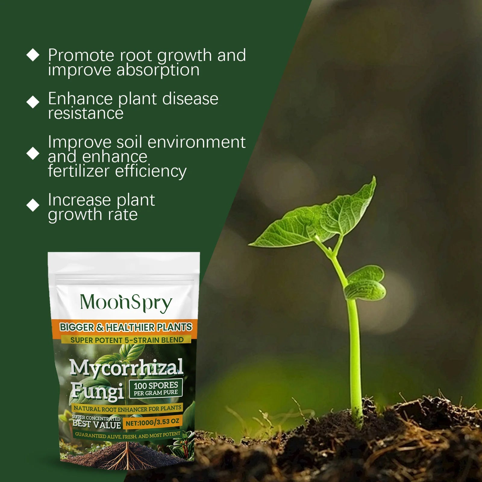 Natural Plants Root Enhancer Promote Root Development Enhance Absorption Capacity Improve Disease Resistance Plant Rooting Agent Qme