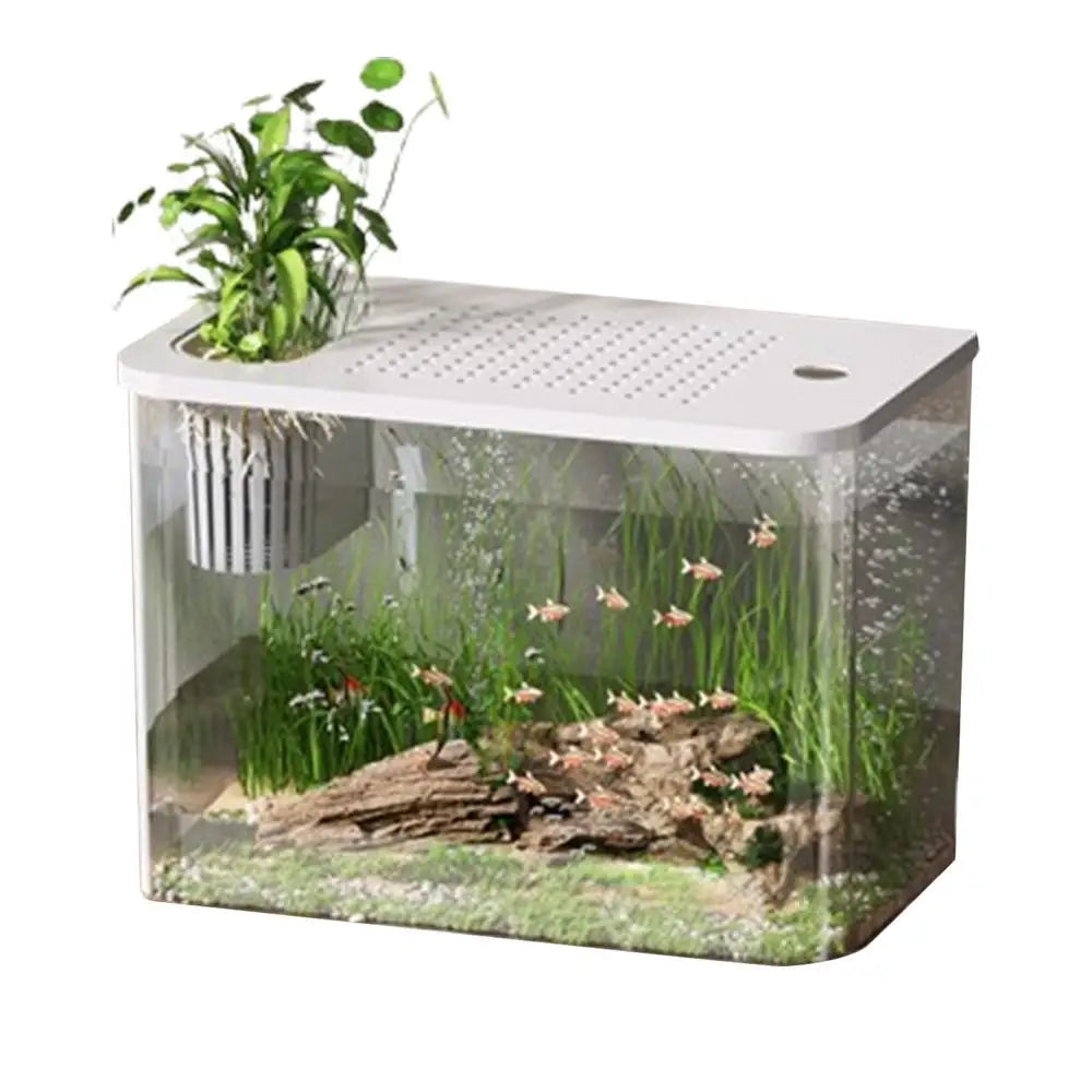 Fish Tank Aquarium Transparent Turtle Bowls Small Aquariums Qme WHITE China Mainland