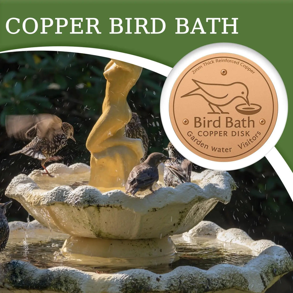 Water Fountain Disk for Bird Bath Copper Cleaning Disk Feeder Accessories Triple-Point Support Purifier Disc for Water Bowl Qme