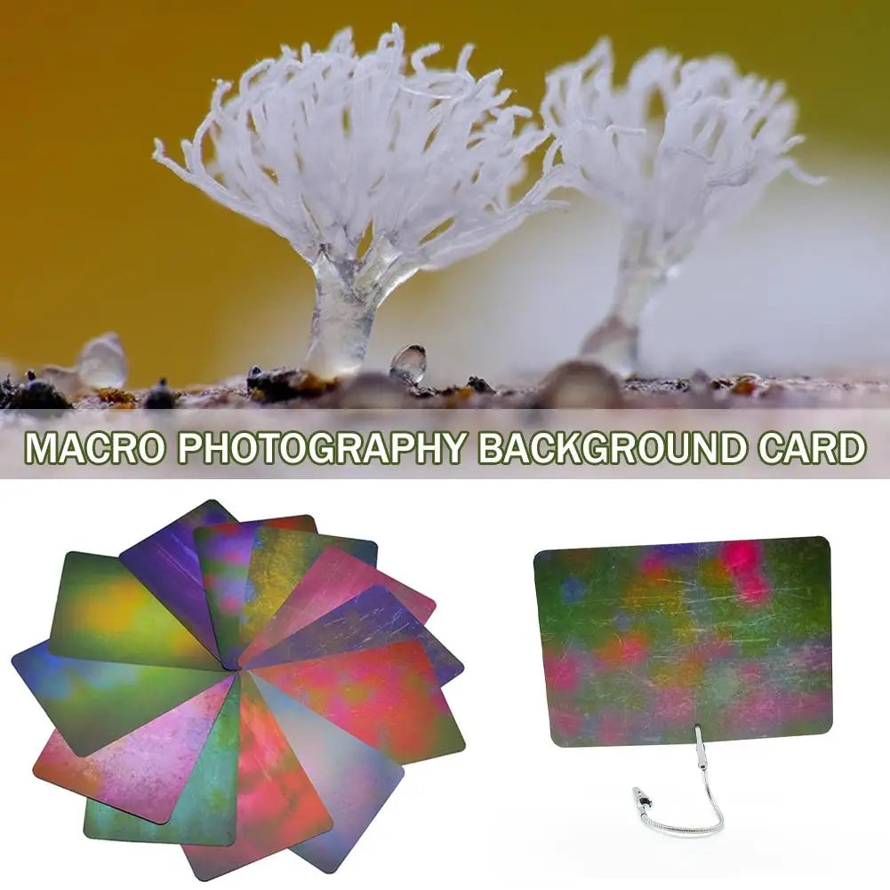 Macro Photography Background Card With Multiple Colors, Light Absorbing Materials Ecological Photography Blurred Background Qme