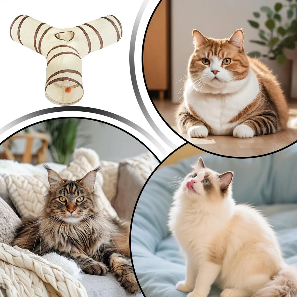 Kitten Tunnel Hidden Toy 3 Way CollapsibleTunnels for Indoor Cat Kitty Bored Peek Hole Toy Ball Cat Qme