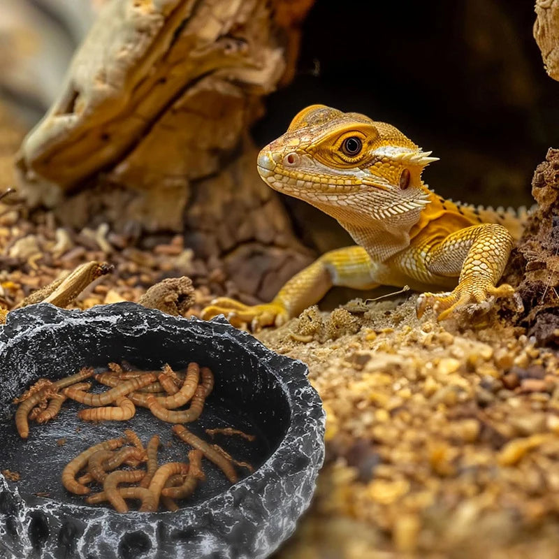 Imitation Stone Bowl Reptile Pet Feeding Water Bowls Safe Durable Qme