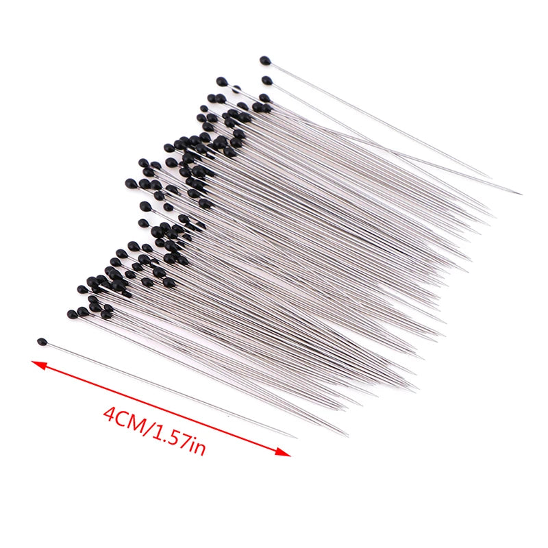 Stainless Steel Pins Specimen School Lab Education Qme Onesize