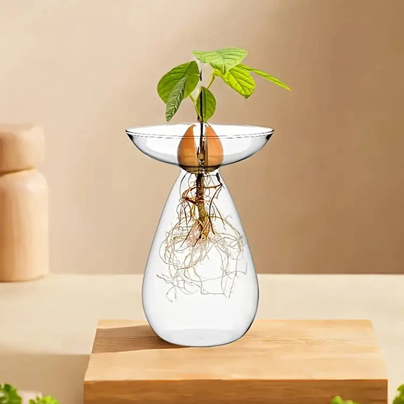 Colorful Transparent Avocado Hydroponic Vase Glass Avocado Seed Starter Vase Plant Seed Growing Kit Gardening Lovers Home Decor Qme