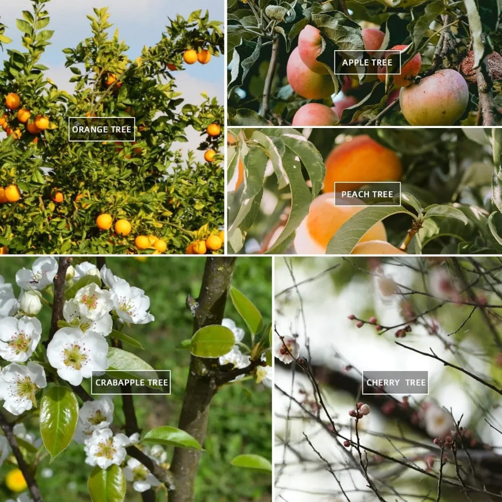 10/30Pcs Fruit Tree Branch Shape Fixator M-Type Branch Trainer Angle Benders Reusable Fruit Tree Support Holder Vine Trainers Qme