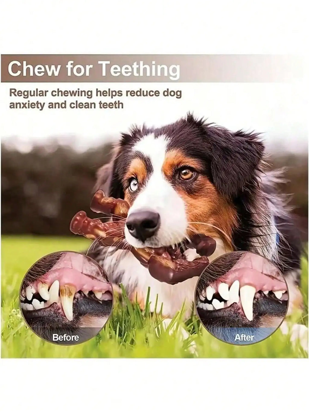 Beef Flavored Dog Toy Designed Specifically Aggressive Chewers Qme