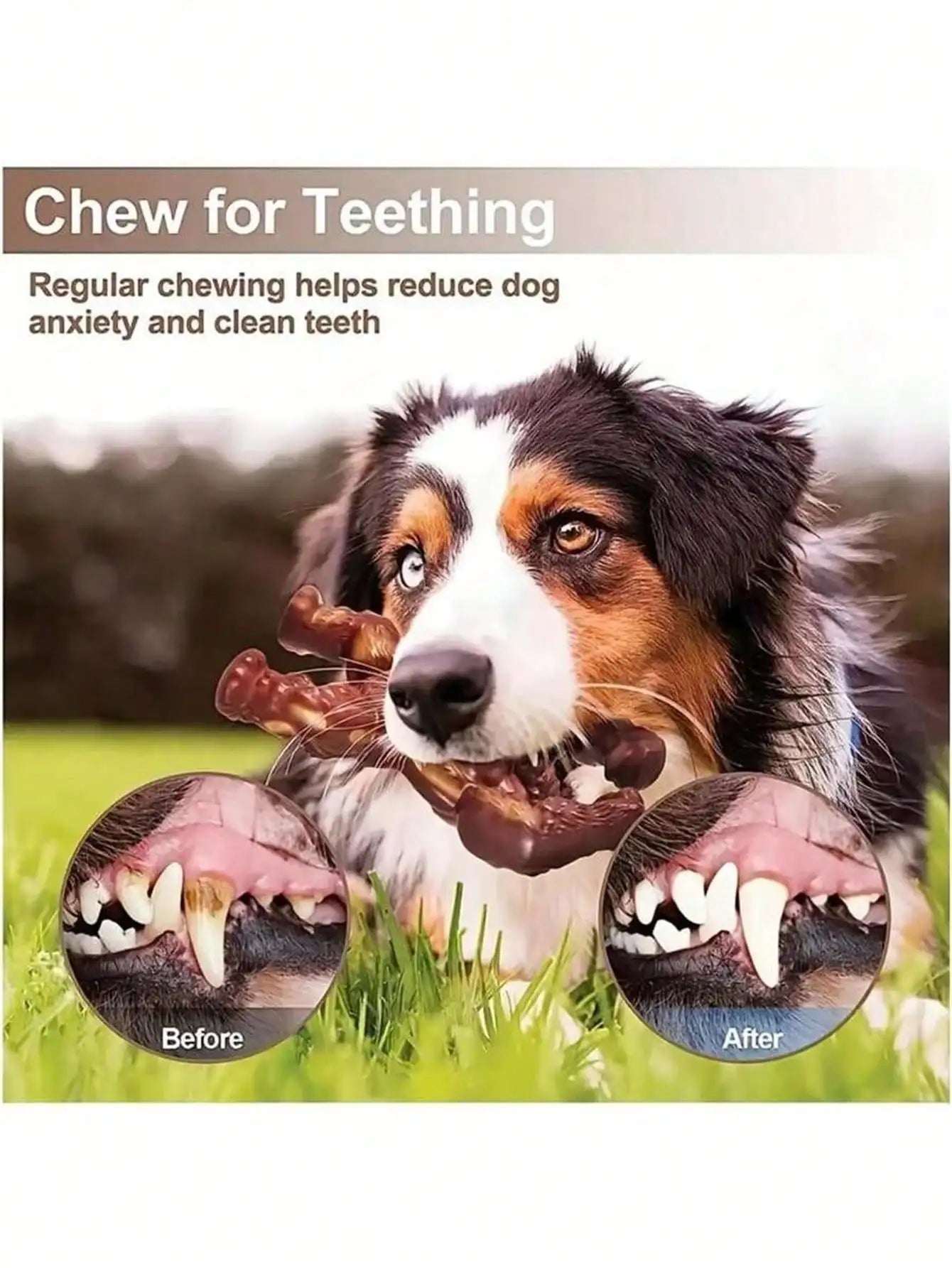 Beef Flavored Dog Toy Designed Specifically Aggressive Chewers Qme
