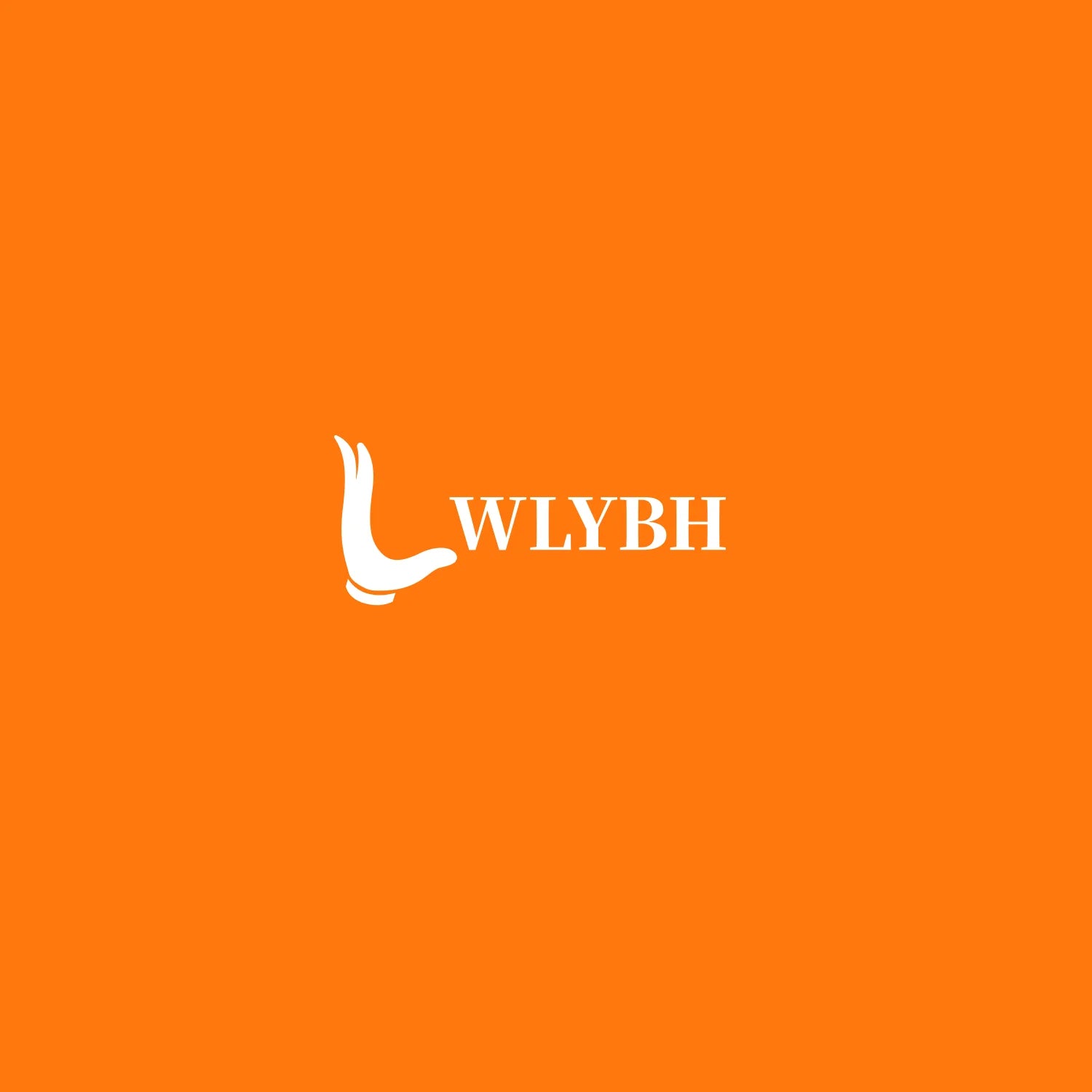 LWLYBH Special Reshipment Link, Price Difference Reshipment Link, Damaged Goods Reshipment Link Qme Default Title