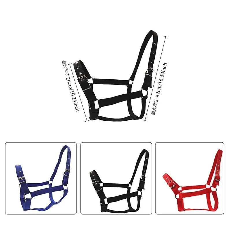 Adjustable Horse Bridle Reins Headstall Universal Fit Ponies Small Qme