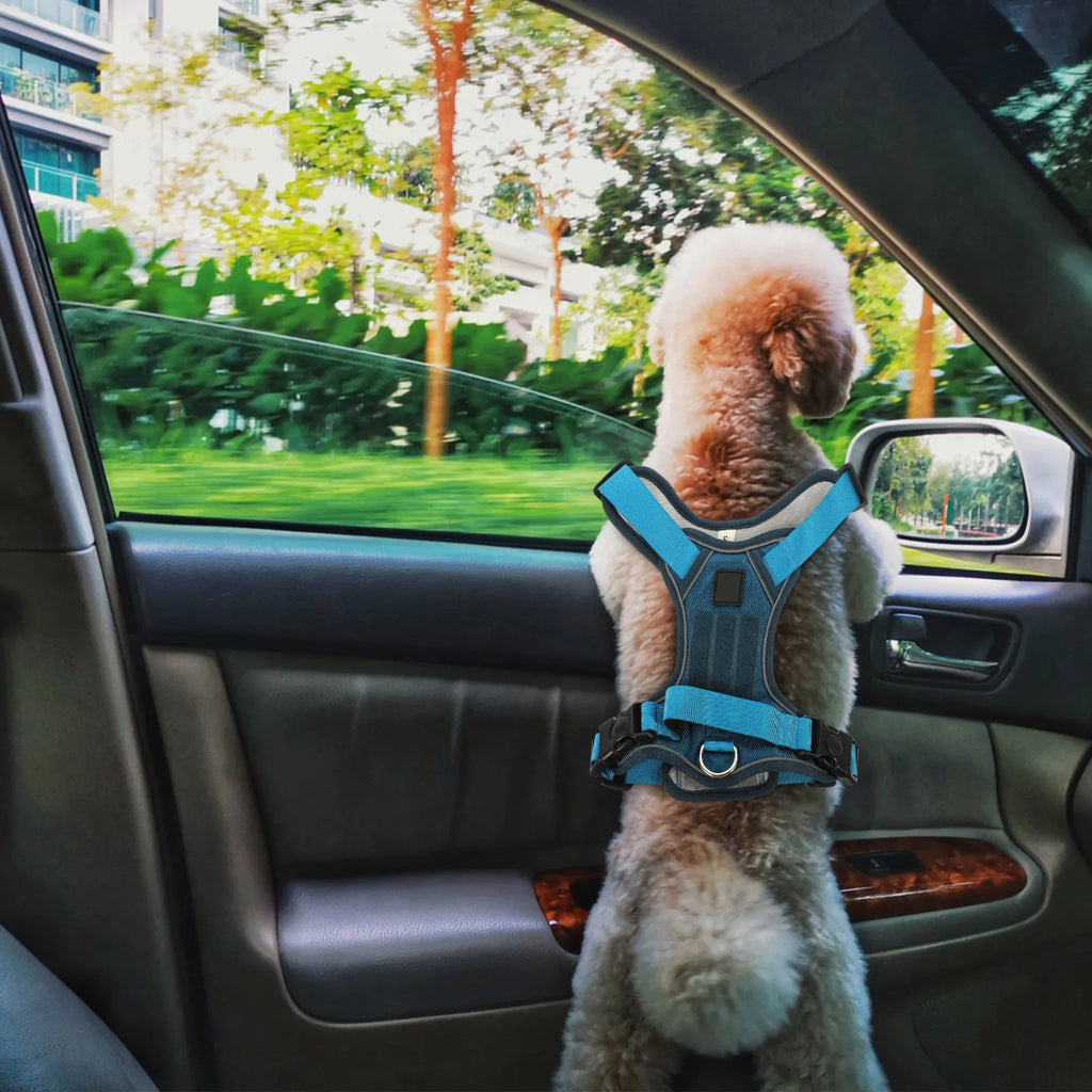 Dog Harness Pet Dog Vest Adjustable Portable Puppy Harness for Small Dogs Thickened Buckle Wear-Resistant Oxford Material Snug Qme