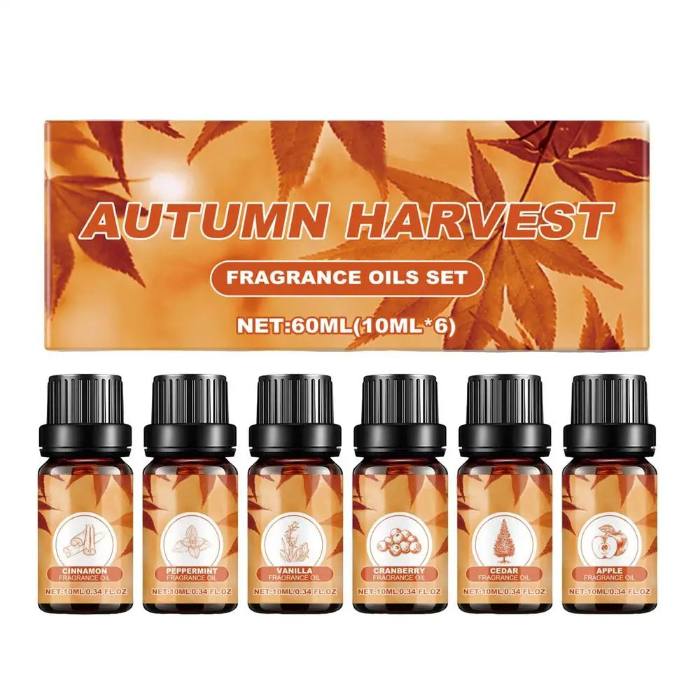 Bakery Essential Oils Premium Fragrance Oil Blueberry Pancake Sugar Qme 10 10mlx6pcs China Mainland